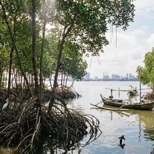 Suaka Margasatwa Muara Angke